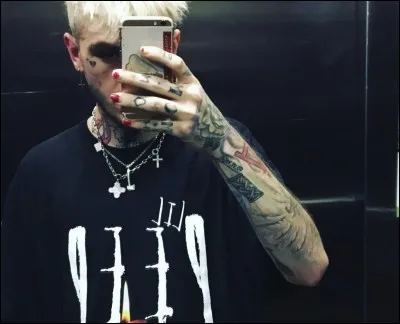 Quel clip musical a été fait en hommage à ce chanteur ?