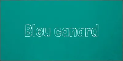 Cliquez sur le canard colvert.