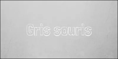 Cliquez sur la souris nommée Stuart Little.