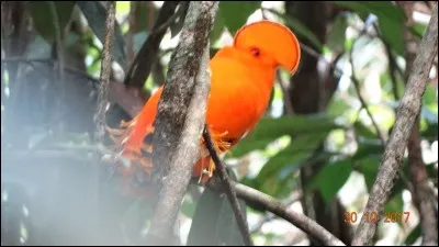 Bien-être financier, abondance de biens !