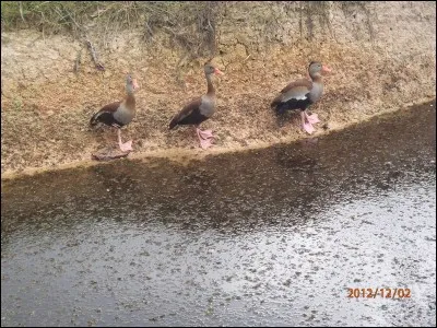 Déclassement technologique d'un matériel industriel, remplacé par un autre mieux adapté !