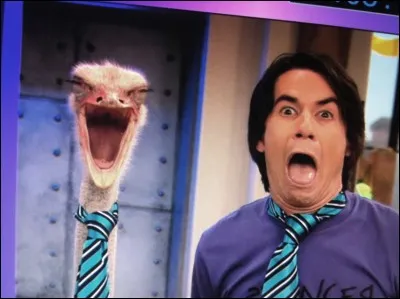 Comment se nomme le frère de Carly ?