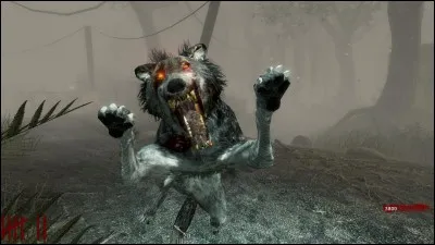 Comment se nomme cette chienne ?