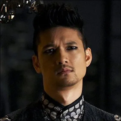 Dans quelle série pouvons-nous voir Magnus Bane ?