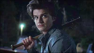 Dans quelle série pouvons-nous voir Steve Harrington ?