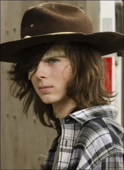 Dans quelle série pouvons-nous voir Carl Grimes ?
