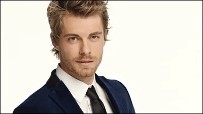 Dans quelle(s) série(s) Luke Mitchell a-t-il joué ?