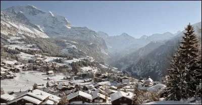 Wengen et Gindelwald sont des stations de ski de ce pays. C'est :