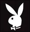 A quoi vous fait penser ce lapin ?