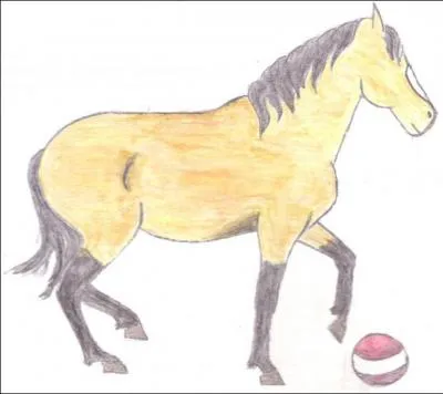 Quelle est la robe ?