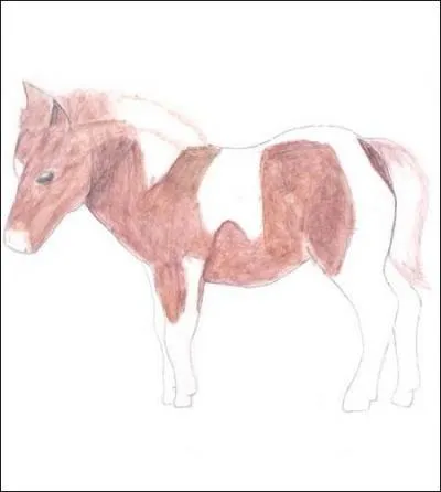 Quelle est la robe ?