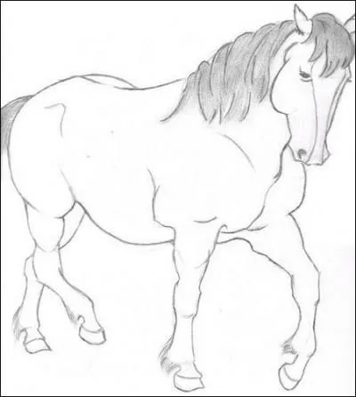 Quelle est la robe ?