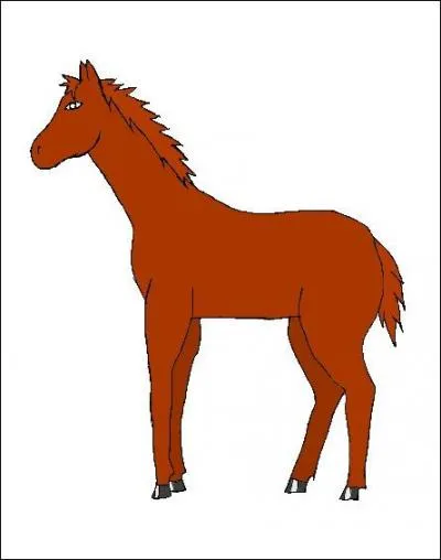 Quelle est la robe ?