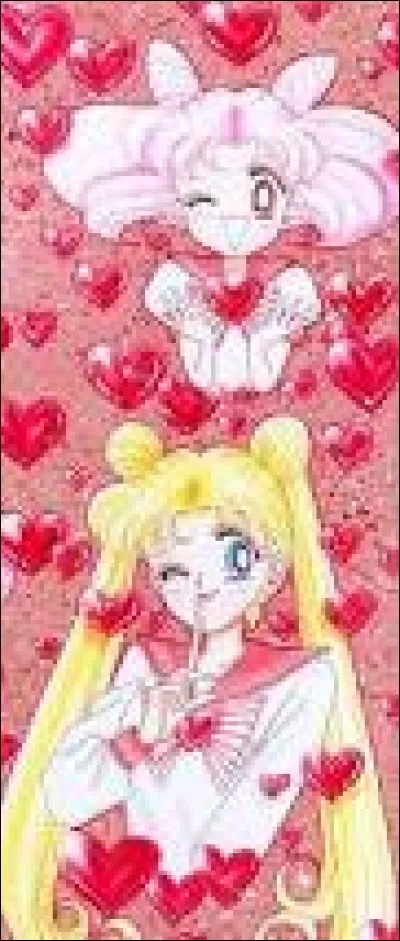 Comment s'appelle la fille de Sailor Moon ?
