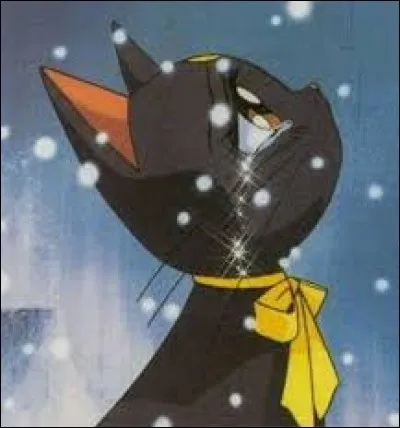 Comment s'appelle le chat de Sailor Moon ?