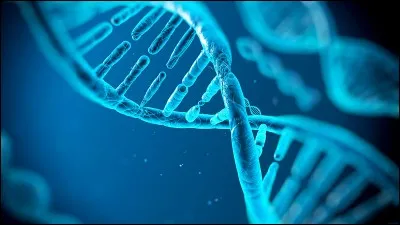 Comment s'appelait le projet qui consistait à établir le séquençage complet de l'ADN humain ?