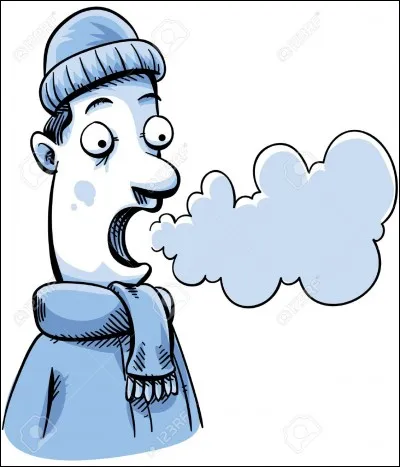 Le petit nuage qui sort de notre bouche ou de notre nez lorsqu'il fait froid est constitué...