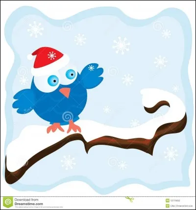 La neige est de l'eau mais à l'état...