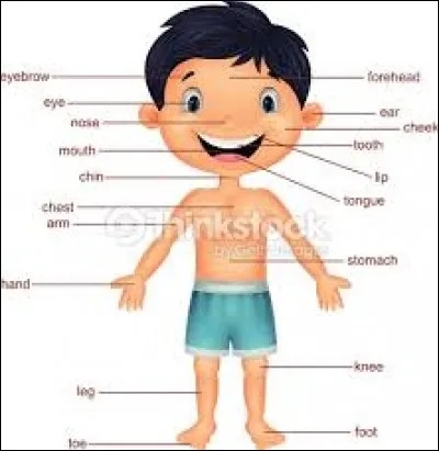 Quelle est la température idéale du corps ?