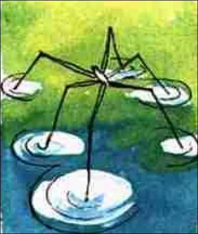 Certains insectes peuvent marcher sur l'eau.
