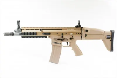 Quel le nom de l'arme dans l'image ?