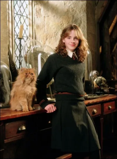 Comment s'appelle le chat d'Hermione ?