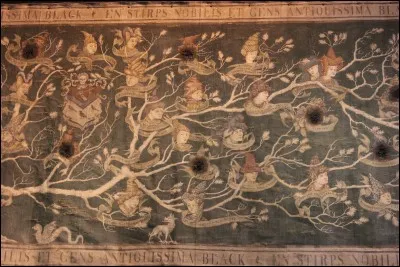 Comment s'appelle le frère de Sirius Black ?