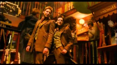 Combien y a-t-il d'enfants Weasley ?