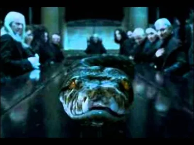 Combien y a-t-il de sortilèges impardonnables ?