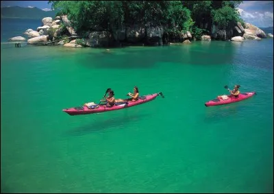Pour la maintenance de poissons du lac Malawi, il faut avoir une eau...