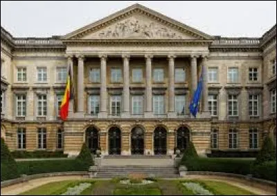 Organisme dont la fondation date de 1831, le Parlement fédéral siège au Palais de la Nation, à Bruxelles, un bâtiment qui fut construit un demi siècle auparavant pour abriter le Conseil du Brabant.
