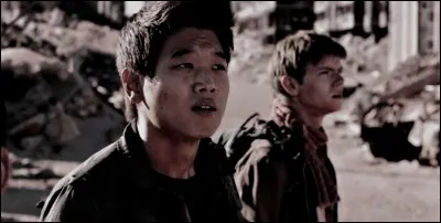 Quel est le job de Minho dans le bloc ?