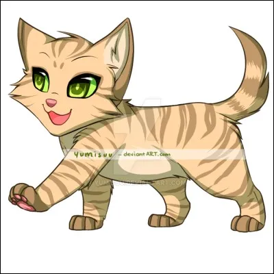 Quel est son nom de chaton ?