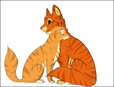 Qui est son compagnon ?