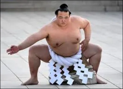 De quel pays est originaire le sumo ?