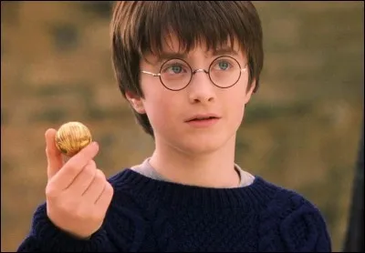 Quel rôle a Harry dans le quidditch ?