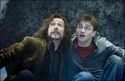 Qui a tué Sirius Black ?