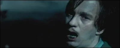 Quel est le nom d'Animagus de Lupin ?