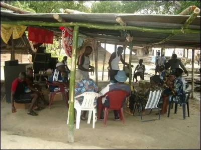Sous-ordres d'insectes hyménoptères, portant un aiguillon venimeux au bout de l'abdomen !