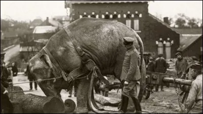 Complétez ce roman de George Sand - Journal d'un voyageur pendant la :