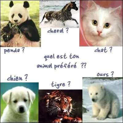 Quel est ton animal préféré ?