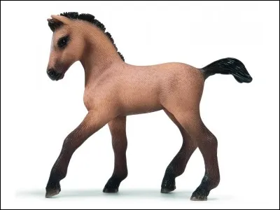 Une race aussi très coûteuse.