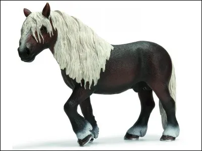 Un magnique cheval de trait.