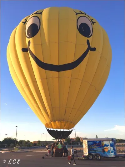 En 1782, les frères Montgolfier ont inventé un engin appelé montgolfière qu'ils font voler pour la première fois le 19 septembre 1783. 
Qui étaient les seuls passagers "VIP" si on peut dire ?