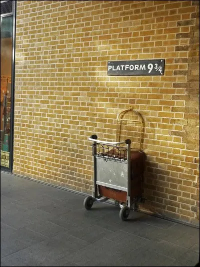Une fois arrivé sur la gare King Cross, quel étrange événement va arriver à Harry et à ses amis ?