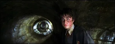 Avec qui Harry se rend-il dans la Chambre des Secrets pour tuer l'animal et délivrer une personne qui a été emprisonnée ?