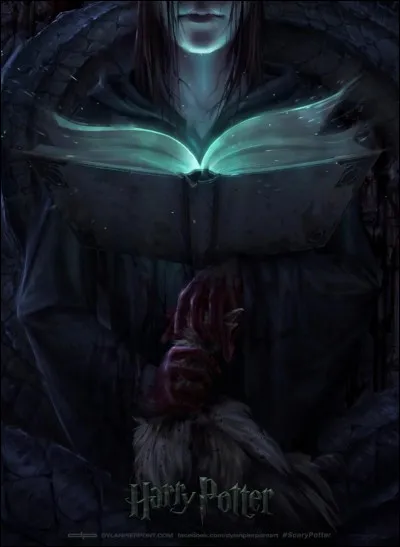 Dans cette Chambre des Secrets, qui est emprisonné ?