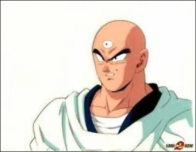 Qui est amoureuse de Tenshinhan ?