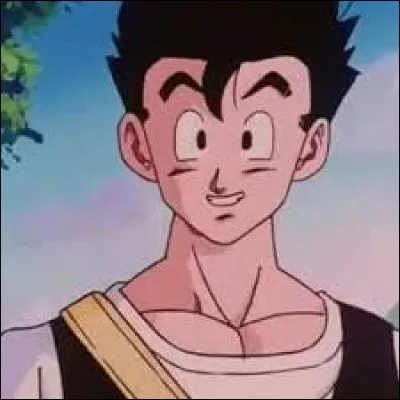 De qui Gohan est-il amoureux ?