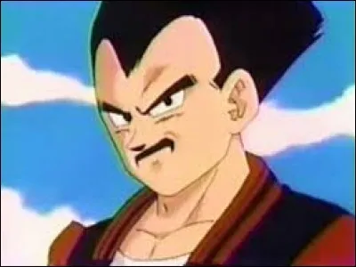 Avec qui Vegeta est-il mari&eacute; ?